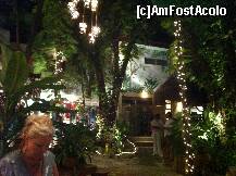 [P23] O mica piateta in Playa del Carmen, sau Playacar, cum o alinta cei de acolo... » foto by eduardradupaul*
 - 
<span class="allrVoted glyphicon glyphicon-heart hidden" id="av285647"></span>
<a class="m-l-10 hidden" id="sv285647" onclick="voting_Foto_DelVot(,285647,10779)" role="button">șterge vot <span class="glyphicon glyphicon-remove"></span></a>
<a id="v9285647" class=" c-red"  onclick="voting_Foto_SetVot(285647)" role="button"><span class="glyphicon glyphicon-heart-empty"></span> <b>LIKE</b> = Votează poza</a> <img class="hidden"  id="f285647W9" src="/imagini/loader.gif" border="0" /><span class="AjErrMes hidden" id="e285647ErM"></span>