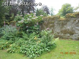[P32] Scone Palace - În parc.  » foto by iulianic
 - 
<span class="allrVoted glyphicon glyphicon-heart hidden" id="av850469"></span>
<a class="m-l-10 hidden" id="sv850469" onclick="voting_Foto_DelVot(,850469,10793)" role="button">șterge vot <span class="glyphicon glyphicon-remove"></span></a>
<a id="v9850469" class=" c-red"  onclick="voting_Foto_SetVot(850469)" role="button"><span class="glyphicon glyphicon-heart-empty"></span> <b>LIKE</b> = Votează poza</a> <img class="hidden"  id="f850469W9" src="/imagini/loader.gif" border="0" /><span class="AjErrMes hidden" id="e850469ErM"></span>