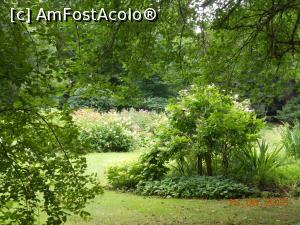 [P41] Scone Palace - În parc.  » foto by iulianic
 - 
<span class="allrVoted glyphicon glyphicon-heart hidden" id="av850478"></span>
<a class="m-l-10 hidden" id="sv850478" onclick="voting_Foto_DelVot(,850478,10793)" role="button">șterge vot <span class="glyphicon glyphicon-remove"></span></a>
<a id="v9850478" class=" c-red"  onclick="voting_Foto_SetVot(850478)" role="button"><span class="glyphicon glyphicon-heart-empty"></span> <b>LIKE</b> = Votează poza</a> <img class="hidden"  id="f850478W9" src="/imagini/loader.gif" border="0" /><span class="AjErrMes hidden" id="e850478ErM"></span>