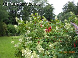 [P45] Scone Palace - În parc.  » foto by iulianic
 - 
<span class="allrVoted glyphicon glyphicon-heart hidden" id="av850483"></span>
<a class="m-l-10 hidden" id="sv850483" onclick="voting_Foto_DelVot(,850483,10793)" role="button">șterge vot <span class="glyphicon glyphicon-remove"></span></a>
<a id="v9850483" class=" c-red"  onclick="voting_Foto_SetVot(850483)" role="button"><span class="glyphicon glyphicon-heart-empty"></span> <b>LIKE</b> = Votează poza</a> <img class="hidden"  id="f850483W9" src="/imagini/loader.gif" border="0" /><span class="AjErrMes hidden" id="e850483ErM"></span>