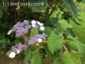 [P46] Scone Palace - În parc.  » foto by iulianic
 - 
<span class="allrVoted glyphicon glyphicon-heart hidden" id="av850484"></span>
<a class="m-l-10 hidden" id="sv850484" onclick="voting_Foto_DelVot(,850484,10793)" role="button">șterge vot <span class="glyphicon glyphicon-remove"></span></a>
<a id="v9850484" class=" c-red"  onclick="voting_Foto_SetVot(850484)" role="button"><span class="glyphicon glyphicon-heart-empty"></span> <b>LIKE</b> = Votează poza</a> <img class="hidden"  id="f850484W9" src="/imagini/loader.gif" border="0" /><span class="AjErrMes hidden" id="e850484ErM"></span>