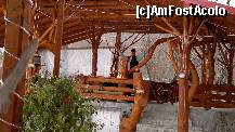 [P13] foisor » foto by gabitza47
 - 
<span class="allrVoted glyphicon glyphicon-heart hidden" id="av286572"></span>
<a class="m-l-10 hidden" id="sv286572" onclick="voting_Foto_DelVot(,286572,10811)" role="button">șterge vot <span class="glyphicon glyphicon-remove"></span></a>
<a id="v9286572" class=" c-red"  onclick="voting_Foto_SetVot(286572)" role="button"><span class="glyphicon glyphicon-heart-empty"></span> <b>LIKE</b> = Votează poza</a> <img class="hidden"  id="f286572W9" src="/imagini/loader.gif" border="0" /><span class="AjErrMes hidden" id="e286572ErM"></span>