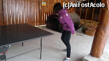 [P14] ping pong » foto by gabitza47
 - 
<span class="allrVoted glyphicon glyphicon-heart hidden" id="av286573"></span>
<a class="m-l-10 hidden" id="sv286573" onclick="voting_Foto_DelVot(,286573,10811)" role="button">șterge vot <span class="glyphicon glyphicon-remove"></span></a>
<a id="v9286573" class=" c-red"  onclick="voting_Foto_SetVot(286573)" role="button"><span class="glyphicon glyphicon-heart-empty"></span> <b>LIKE</b> = Votează poza</a> <img class="hidden"  id="f286573W9" src="/imagini/loader.gif" border="0" /><span class="AjErrMes hidden" id="e286573ErM"></span>