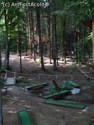 [P13] Parcul Aventura din Drăguș. » foto by tata123 🔱
 - 
<span class="allrVoted glyphicon glyphicon-heart hidden" id="av1250426"></span>
<a class="m-l-10 hidden" id="sv1250426" onclick="voting_Foto_DelVot(,1250426,10814)" role="button">șterge vot <span class="glyphicon glyphicon-remove"></span></a>
<a id="v91250426" class=" c-red"  onclick="voting_Foto_SetVot(1250426)" role="button"><span class="glyphicon glyphicon-heart-empty"></span> <b>LIKE</b> = Votează poza</a> <img class="hidden"  id="f1250426W9" src="/imagini/loader.gif" border="0" /><span class="AjErrMes hidden" id="e1250426ErM"></span>