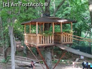 [P19] Parcul Aventura din Drăguș. » foto by tata123 🔱
 - 
<span class="allrVoted glyphicon glyphicon-heart hidden" id="av1250432"></span>
<a class="m-l-10 hidden" id="sv1250432" onclick="voting_Foto_DelVot(,1250432,10814)" role="button">șterge vot <span class="glyphicon glyphicon-remove"></span></a>
<a id="v91250432" class=" c-red"  onclick="voting_Foto_SetVot(1250432)" role="button"><span class="glyphicon glyphicon-heart-empty"></span> <b>LIKE</b> = Votează poza</a> <img class="hidden"  id="f1250432W9" src="/imagini/loader.gif" border="0" /><span class="AjErrMes hidden" id="e1250432ErM"></span>