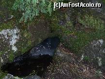 [P11] ghetarul de sub stanca » foto by gmarinescu
 - 
<span class="allrVoted glyphicon glyphicon-heart hidden" id="av282192"></span>
<a class="m-l-10 hidden" id="sv282192" onclick="voting_Foto_DelVot(,282192,10822)" role="button">șterge vot <span class="glyphicon glyphicon-remove"></span></a>
<a id="v9282192" class=" c-red"  onclick="voting_Foto_SetVot(282192)" role="button"><span class="glyphicon glyphicon-heart-empty"></span> <b>LIKE</b> = Votează poza</a> <img class="hidden"  id="f282192W9" src="/imagini/loader.gif" border="0" /><span class="AjErrMes hidden" id="e282192ErM"></span>