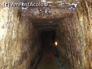[P38] un tunel spre istorie » foto by Yolanda
 - 
<span class="allrVoted glyphicon glyphicon-heart hidden" id="av1012071"></span>
<a class="m-l-10 hidden" id="sv1012071" onclick="voting_Foto_DelVot(,1012071,10822)" role="button">șterge vot <span class="glyphicon glyphicon-remove"></span></a>
<a id="v91012071" class=" c-red"  onclick="voting_Foto_SetVot(1012071)" role="button"><span class="glyphicon glyphicon-heart-empty"></span> <b>LIKE</b> = Votează poza</a> <img class="hidden"  id="f1012071W9" src="/imagini/loader.gif" border="0" /><span class="AjErrMes hidden" id="e1012071ErM"></span>