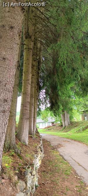 [P02] Prin curte, spre partea muzeistică. » foto by tata123 🔱
 - 
<span class="allrVoted glyphicon glyphicon-heart hidden" id="av1501341"></span>
<a class="m-l-10 hidden" id="sv1501341" onclick="voting_Foto_DelVot(,1501341,10822)" role="button">șterge vot <span class="glyphicon glyphicon-remove"></span></a>
<a id="v91501341" class=" c-red"  onclick="voting_Foto_SetVot(1501341)" role="button"><span class="glyphicon glyphicon-heart-empty"></span> <b>LIKE</b> = Votează poza</a> <img class="hidden"  id="f1501341W9" src="/imagini/loader.gif" border="0" /><span class="AjErrMes hidden" id="e1501341ErM"></span>