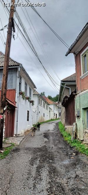 [P14] Undeva pe „Strada Siciliană”. » foto by tata123 🔱
 - 
<span class="allrVoted glyphicon glyphicon-heart hidden" id="av1510334"></span>
<a class="m-l-10 hidden" id="sv1510334" onclick="voting_Foto_DelVot(,1510334,10822)" role="button">șterge vot <span class="glyphicon glyphicon-remove"></span></a>
<a id="v91510334" class=" c-red"  onclick="voting_Foto_SetVot(1510334)" role="button"><span class="glyphicon glyphicon-heart-empty"></span> <b>LIKE</b> = Votează poza</a> <img class="hidden"  id="f1510334W9" src="/imagini/loader.gif" border="0" /><span class="AjErrMes hidden" id="e1510334ErM"></span>