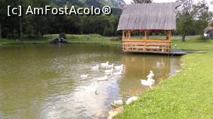 [P03] Loc de relaxare pe lacul pensiunii » foto by RA RA
 - 
<span class="allrVoted glyphicon glyphicon-heart hidden" id="av978783"></span>
<a class="m-l-10 hidden" id="sv978783" onclick="voting_Foto_DelVot(,978783,10856)" role="button">șterge vot <span class="glyphicon glyphicon-remove"></span></a>
<a id="v9978783" class=" c-red"  onclick="voting_Foto_SetVot(978783)" role="button"><span class="glyphicon glyphicon-heart-empty"></span> <b>LIKE</b> = Votează poza</a> <img class="hidden"  id="f978783W9" src="/imagini/loader.gif" border="0" /><span class="AjErrMes hidden" id="e978783ErM"></span>