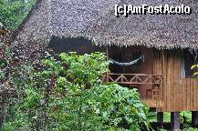 [P27] Vila in care am locuit la Tambobata Ecolodge » foto by Arinuca
 - 
<span class="allrVoted glyphicon glyphicon-heart hidden" id="av288848"></span>
<a class="m-l-10 hidden" id="sv288848" onclick="voting_Foto_DelVot(,288848,10875)" role="button">șterge vot <span class="glyphicon glyphicon-remove"></span></a>
<a id="v9288848" class=" c-red"  onclick="voting_Foto_SetVot(288848)" role="button"><span class="glyphicon glyphicon-heart-empty"></span> <b>LIKE</b> = Votează poza</a> <img class="hidden"  id="f288848W9" src="/imagini/loader.gif" border="0" /><span class="AjErrMes hidden" id="e288848ErM"></span>