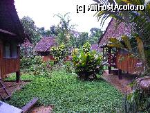 [P34] Vecinii din resort » foto by Arinuca
 - 
<span class="allrVoted glyphicon glyphicon-heart hidden" id="av288882"></span>
<a class="m-l-10 hidden" id="sv288882" onclick="voting_Foto_DelVot(,288882,10875)" role="button">șterge vot <span class="glyphicon glyphicon-remove"></span></a>
<a id="v9288882" class=" c-red"  onclick="voting_Foto_SetVot(288882)" role="button"><span class="glyphicon glyphicon-heart-empty"></span> <b>LIKE</b> = Votează poza</a> <img class="hidden"  id="f288882W9" src="/imagini/loader.gif" border="0" /><span class="AjErrMes hidden" id="e288882ErM"></span>