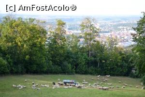 [P08] Până aici a ajuns Ghiță ciobanul... » foto by AZE
 - 
<span class="allrVoted glyphicon glyphicon-heart hidden" id="av1259347"></span>
<a class="m-l-10 hidden" id="sv1259347" onclick="voting_Foto_DelVot(,1259347,10894)" role="button">șterge vot <span class="glyphicon glyphicon-remove"></span></a>
<a id="v91259347" class=" c-red"  onclick="voting_Foto_SetVot(1259347)" role="button"><span class="glyphicon glyphicon-heart-empty"></span> <b>LIKE</b> = Votează poza</a> <img class="hidden"  id="f1259347W9" src="/imagini/loader.gif" border="0" /><span class="AjErrMes hidden" id="e1259347ErM"></span>