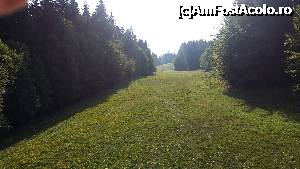 [P03] O pârtie de schi întâlnită pe traseu pe un munte situat deasupra orașului Arnoldstein din Carinthia, Austria.  » foto by traian.leuca †
 - 
<span class="allrVoted glyphicon glyphicon-heart hidden" id="av699937"></span>
<a class="m-l-10 hidden" id="sv699937" onclick="voting_Foto_DelVot(,699937,10911)" role="button">șterge vot <span class="glyphicon glyphicon-remove"></span></a>
<a id="v9699937" class=" c-red"  onclick="voting_Foto_SetVot(699937)" role="button"><span class="glyphicon glyphicon-heart-empty"></span> <b>LIKE</b> = Votează poza</a> <img class="hidden"  id="f699937W9" src="/imagini/loader.gif" border="0" /><span class="AjErrMes hidden" id="e699937ErM"></span>