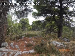 [P32] padure de pini » foto by dropacel
 - 
<span class="allrVoted glyphicon glyphicon-heart hidden" id="av789805"></span>
<a class="m-l-10 hidden" id="sv789805" onclick="voting_Foto_DelVot(,789805,10932)" role="button">șterge vot <span class="glyphicon glyphicon-remove"></span></a>
<a id="v9789805" class=" c-red"  onclick="voting_Foto_SetVot(789805)" role="button"><span class="glyphicon glyphicon-heart-empty"></span> <b>LIKE</b> = Votează poza</a> <img class="hidden"  id="f789805W9" src="/imagini/loader.gif" border="0" /><span class="AjErrMes hidden" id="e789805ErM"></span>