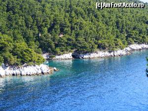 [P50] Insula Skopelos - verde și albastru » foto by Cris
 - 
<span class="allrVoted glyphicon glyphicon-heart hidden" id="av629156"></span>
<a class="m-l-10 hidden" id="sv629156" onclick="voting_Foto_DelVot(,629156,10932)" role="button">șterge vot <span class="glyphicon glyphicon-remove"></span></a>
<a id="v9629156" class=" c-red"  onclick="voting_Foto_SetVot(629156)" role="button"><span class="glyphicon glyphicon-heart-empty"></span> <b>LIKE</b> = Votează poza</a> <img class="hidden"  id="f629156W9" src="/imagini/loader.gif" border="0" /><span class="AjErrMes hidden" id="e629156ErM"></span>