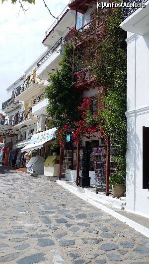 [P61] Insula Skopelos - orașul Skopelos » foto by Cris
 - 
<span class="allrVoted glyphicon glyphicon-heart hidden" id="av629167"></span>
<a class="m-l-10 hidden" id="sv629167" onclick="voting_Foto_DelVot(,629167,10932)" role="button">șterge vot <span class="glyphicon glyphicon-remove"></span></a>
<a id="v9629167" class=" c-red"  onclick="voting_Foto_SetVot(629167)" role="button"><span class="glyphicon glyphicon-heart-empty"></span> <b>LIKE</b> = Votează poza</a> <img class="hidden"  id="f629167W9" src="/imagini/loader.gif" border="0" /><span class="AjErrMes hidden" id="e629167ErM"></span>