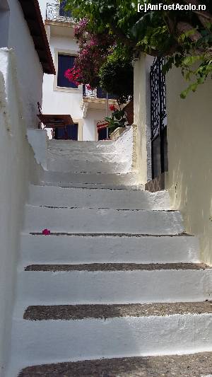 [P68] Skopelos Town » foto by Cris
 - 
<span class="allrVoted glyphicon glyphicon-heart hidden" id="av629174"></span>
<a class="m-l-10 hidden" id="sv629174" onclick="voting_Foto_DelVot(,629174,10932)" role="button">șterge vot <span class="glyphicon glyphicon-remove"></span></a>
<a id="v9629174" class=" c-red"  onclick="voting_Foto_SetVot(629174)" role="button"><span class="glyphicon glyphicon-heart-empty"></span> <b>LIKE</b> = Votează poza</a> <img class="hidden"  id="f629174W9" src="/imagini/loader.gif" border="0" /><span class="AjErrMes hidden" id="e629174ErM"></span>