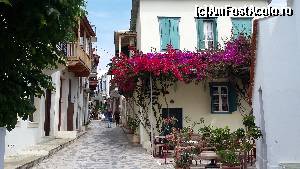 [P71] Skopelos Town » foto by Cris
 - 
<span class="allrVoted glyphicon glyphicon-heart hidden" id="av629177"></span>
<a class="m-l-10 hidden" id="sv629177" onclick="voting_Foto_DelVot(,629177,10932)" role="button">șterge vot <span class="glyphicon glyphicon-remove"></span></a>
<a id="v9629177" class=" c-red"  onclick="voting_Foto_SetVot(629177)" role="button"><span class="glyphicon glyphicon-heart-empty"></span> <b>LIKE</b> = Votează poza</a> <img class="hidden"  id="f629177W9" src="/imagini/loader.gif" border="0" /><span class="AjErrMes hidden" id="e629177ErM"></span>