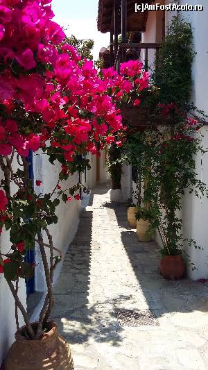 [P82] Skopelos Town » foto by Cris
 - 
<span class="allrVoted glyphicon glyphicon-heart hidden" id="av629188"></span>
<a class="m-l-10 hidden" id="sv629188" onclick="voting_Foto_DelVot(,629188,10932)" role="button">șterge vot <span class="glyphicon glyphicon-remove"></span></a>
<a id="v9629188" class=" c-red"  onclick="voting_Foto_SetVot(629188)" role="button"><span class="glyphicon glyphicon-heart-empty"></span> <b>LIKE</b> = Votează poza</a> <img class="hidden"  id="f629188W9" src="/imagini/loader.gif" border="0" /><span class="AjErrMes hidden" id="e629188ErM"></span>