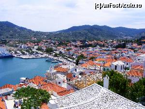 [P96] Skopelos Town » foto by Cris
 - 
<span class="allrVoted glyphicon glyphicon-heart hidden" id="av629202"></span>
<a class="m-l-10 hidden" id="sv629202" onclick="voting_Foto_DelVot(,629202,10932)" role="button">șterge vot <span class="glyphicon glyphicon-remove"></span></a>
<a id="v9629202" class=" c-red"  onclick="voting_Foto_SetVot(629202)" role="button"><span class="glyphicon glyphicon-heart-empty"></span> <b>LIKE</b> = Votează poza</a> <img class="hidden"  id="f629202W9" src="/imagini/loader.gif" border="0" /><span class="AjErrMes hidden" id="e629202ErM"></span>