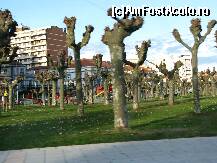 [P02] parcul din centrul orasului » foto by noriega
 - 
<span class="allrVoted glyphicon glyphicon-heart hidden" id="av291052"></span>
<a class="m-l-10 hidden" id="sv291052" onclick="voting_Foto_DelVot(,291052,10938)" role="button">șterge vot <span class="glyphicon glyphicon-remove"></span></a>
<a id="v9291052" class=" c-red"  onclick="voting_Foto_SetVot(291052)" role="button"><span class="glyphicon glyphicon-heart-empty"></span> <b>LIKE</b> = Votează poza</a> <img class="hidden"  id="f291052W9" src="/imagini/loader.gif" border="0" /><span class="AjErrMes hidden" id="e291052ErM"></span>