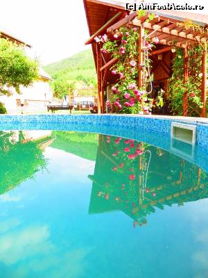 [P15] Trandafiri la piscină.  » foto by tata123 🔱
 - 
<span class="allrVoted glyphicon glyphicon-heart hidden" id="av629760"></span>
<a class="m-l-10 hidden" id="sv629760" onclick="voting_Foto_DelVot(,629760,10949)" role="button">șterge vot <span class="glyphicon glyphicon-remove"></span></a>
<a id="v9629760" class=" c-red"  onclick="voting_Foto_SetVot(629760)" role="button"><span class="glyphicon glyphicon-heart-empty"></span> <b>LIKE</b> = Votează poza</a> <img class="hidden"  id="f629760W9" src="/imagini/loader.gif" border="0" /><span class="AjErrMes hidden" id="e629760ErM"></span>
