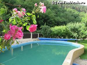 [P33] Și din nou - piscina.  » foto by tata123 🔱
 - 
<span class="allrVoted glyphicon glyphicon-heart hidden" id="av629787"></span>
<a class="m-l-10 hidden" id="sv629787" onclick="voting_Foto_DelVot(,629787,10949)" role="button">șterge vot <span class="glyphicon glyphicon-remove"></span></a>
<a id="v9629787" class=" c-red"  onclick="voting_Foto_SetVot(629787)" role="button"><span class="glyphicon glyphicon-heart-empty"></span> <b>LIKE</b> = Votează poza</a> <img class="hidden"  id="f629787W9" src="/imagini/loader.gif" border="0" /><span class="AjErrMes hidden" id="e629787ErM"></span>