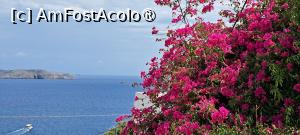 [P32] Bougainvillea de Astypalea » foto by irinad
 - 
<span class="allrVoted glyphicon glyphicon-heart hidden" id="av1492570"></span>
<a class="m-l-10 hidden" id="sv1492570" onclick="voting_Foto_DelVot(,1492570,10991)" role="button">șterge vot <span class="glyphicon glyphicon-remove"></span></a>
<a id="v91492570" class=" c-red"  onclick="voting_Foto_SetVot(1492570)" role="button"><span class="glyphicon glyphicon-heart-empty"></span> <b>LIKE</b> = Votează poza</a> <img class="hidden"  id="f1492570W9" src="/imagini/loader.gif" border="0" /><span class="AjErrMes hidden" id="e1492570ErM"></span>