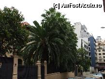 [P01] Straduta pe care se afla blocul cu apartamentul nostru:) » foto by crima
 - 
<span class="allrVoted glyphicon glyphicon-heart hidden" id="av293296"></span>
<a class="m-l-10 hidden" id="sv293296" onclick="voting_Foto_DelVot(,293296,10996)" role="button">șterge vot <span class="glyphicon glyphicon-remove"></span></a>
<a id="v9293296" class=" c-red"  onclick="voting_Foto_SetVot(293296)" role="button"><span class="glyphicon glyphicon-heart-empty"></span> <b>LIKE</b> = Votează poza</a> <img class="hidden"  id="f293296W9" src="/imagini/loader.gif" border="0" /><span class="AjErrMes hidden" id="e293296ErM"></span>