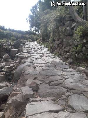 [P37] 'Lacul Titicaca [...]' / dar a venit timpul sa si cobor ce am urcat, a fost mai greu, decat la urcare. Am coborat numai tinandu-ma de bratul ghidului, dar eram fericita cand intalneam turisti care urcau, felicitandu-ma ca am ajuns pana sus » foto by grecudoina
 - 
<span class="allrVoted glyphicon glyphicon-heart hidden" id="av399570"></span>
<a class="m-l-10 hidden" id="sv399570" onclick="voting_Foto_DelVot(,399570,11005)" role="button">șterge vot <span class="glyphicon glyphicon-remove"></span></a>
<a id="v9399570" class=" c-red"  onclick="voting_Foto_SetVot(399570)" role="button"><span class="glyphicon glyphicon-heart-empty"></span> <b>LIKE</b> = Votează poza</a> <img class="hidden"  id="f399570W9" src="/imagini/loader.gif" border="0" /><span class="AjErrMes hidden" id="e399570ErM"></span>