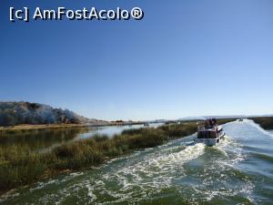 [P02] printre canalele de totora » foto by buterfly*
 - 
<span class="allrVoted glyphicon glyphicon-heart hidden" id="av818540"></span>
<a class="m-l-10 hidden" id="sv818540" onclick="voting_Foto_DelVot(,818540,11005)" role="button">șterge vot <span class="glyphicon glyphicon-remove"></span></a>
<a id="v9818540" class=" c-red"  onclick="voting_Foto_SetVot(818540)" role="button"><span class="glyphicon glyphicon-heart-empty"></span> <b>LIKE</b> = Votează poza</a> <img class="hidden"  id="f818540W9" src="/imagini/loader.gif" border="0" /><span class="AjErrMes hidden" id="e818540ErM"></span>