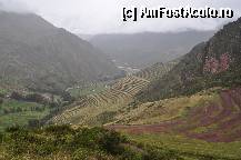 [P12] Pisac » foto by Arinuca
 - 
<span class="allrVoted glyphicon glyphicon-heart hidden" id="av294212"></span>
<a class="m-l-10 hidden" id="sv294212" onclick="voting_Foto_DelVot(,294212,11018)" role="button">șterge vot <span class="glyphicon glyphicon-remove"></span></a>
<a id="v9294212" class=" c-red"  onclick="voting_Foto_SetVot(294212)" role="button"><span class="glyphicon glyphicon-heart-empty"></span> <b>LIKE</b> = Votează poza</a> <img class="hidden"  id="f294212W9" src="/imagini/loader.gif" border="0" /><span class="AjErrMes hidden" id="e294212ErM"></span>