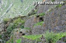 [P30]  -- <small>// FĂRĂ DESCRIERE</small> » foto by Arinuca
 - 
<span class="allrVoted glyphicon glyphicon-heart hidden" id="av294287"></span>
<a class="m-l-10 hidden" id="sv294287" onclick="voting_Foto_DelVot(,294287,11018)" role="button">șterge vot <span class="glyphicon glyphicon-remove"></span></a>
<a id="v9294287" class=" c-red"  onclick="voting_Foto_SetVot(294287)" role="button"><span class="glyphicon glyphicon-heart-empty"></span> <b>LIKE</b> = Votează poza</a> <img class="hidden"  id="f294287W9" src="/imagini/loader.gif" border="0" /><span class="AjErrMes hidden" id="e294287ErM"></span>