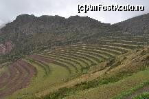 [P04]  -- <small>// FĂRĂ DESCRIERE</small> » foto by Arinuca
 - 
<span class="allrVoted glyphicon glyphicon-heart hidden" id="av294076"></span>
<a class="m-l-10 hidden" id="sv294076" onclick="voting_Foto_DelVot(,294076,11018)" role="button">șterge vot <span class="glyphicon glyphicon-remove"></span></a>
<a id="v9294076" class=" c-red"  onclick="voting_Foto_SetVot(294076)" role="button"><span class="glyphicon glyphicon-heart-empty"></span> <b>LIKE</b> = Votează poza</a> <img class="hidden"  id="f294076W9" src="/imagini/loader.gif" border="0" /><span class="AjErrMes hidden" id="e294076ErM"></span>