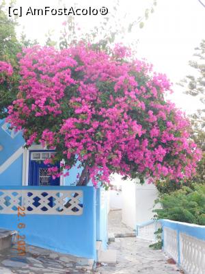 [P62] Casă cu bougainvillea în Menetes » foto by irinad
 - 
<span class="allrVoted glyphicon glyphicon-heart hidden" id="av1285153"></span>
<a class="m-l-10 hidden" id="sv1285153" onclick="voting_Foto_DelVot(,1285153,11021)" role="button">șterge vot <span class="glyphicon glyphicon-remove"></span></a>
<a id="v91285153" class=" c-red"  onclick="voting_Foto_SetVot(1285153)" role="button"><span class="glyphicon glyphicon-heart-empty"></span> <b>LIKE</b> = Votează poza</a> <img class="hidden"  id="f1285153W9" src="/imagini/loader.gif" border="0" /><span class="AjErrMes hidden" id="e1285153ErM"></span>