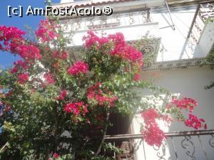 [P83] Pyrgi, frumoasele case pictate și bouganvillea de Pyrgi. » foto by maryka
 - 
<span class="allrVoted glyphicon glyphicon-heart hidden" id="av1196218"></span>
<a class="m-l-10 hidden" id="sv1196218" onclick="voting_Foto_DelVot(,1196218,11028)" role="button">șterge vot <span class="glyphicon glyphicon-remove"></span></a>
<a id="v91196218" class=" c-red"  onclick="voting_Foto_SetVot(1196218)" role="button"><span class="glyphicon glyphicon-heart-empty"></span> <b>LIKE</b> = Votează poza</a> <img class="hidden"  id="f1196218W9" src="/imagini/loader.gif" border="0" /><span class="AjErrMes hidden" id="e1196218ErM"></span>