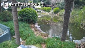 [P33] Parc » foto by AZE
 - 
<span class="allrVoted glyphicon glyphicon-heart hidden" id="av861747"></span>
<a class="m-l-10 hidden" id="sv861747" onclick="voting_Foto_DelVot(,861747,11037)" role="button">șterge vot <span class="glyphicon glyphicon-remove"></span></a>
<a id="v9861747" class=" c-red"  onclick="voting_Foto_SetVot(861747)" role="button"><span class="glyphicon glyphicon-heart-empty"></span> <b>LIKE</b> = Votează poza</a> <img class="hidden"  id="f861747W9" src="/imagini/loader.gif" border="0" /><span class="AjErrMes hidden" id="e861747ErM"></span>