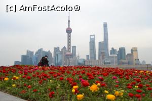 [P04] Flori pe Bund-districtul Pudong in fundal » foto by AZE
 - 
<span class="allrVoted glyphicon glyphicon-heart hidden" id="av862807"></span>
<a class="m-l-10 hidden" id="sv862807" onclick="voting_Foto_DelVot(,862807,11037)" role="button">șterge vot <span class="glyphicon glyphicon-remove"></span></a>
<a id="v9862807" class=" c-red"  onclick="voting_Foto_SetVot(862807)" role="button"><span class="glyphicon glyphicon-heart-empty"></span> <b>LIKE</b> = Votează poza</a> <img class="hidden"  id="f862807W9" src="/imagini/loader.gif" border="0" /><span class="AjErrMes hidden" id="e862807ErM"></span>