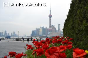 [P06] Flori si... Oriental Pearl Tower » foto by AZE
 - 
<span class="allrVoted glyphicon glyphicon-heart hidden" id="av862809"></span>
<a class="m-l-10 hidden" id="sv862809" onclick="voting_Foto_DelVot(,862809,11037)" role="button">șterge vot <span class="glyphicon glyphicon-remove"></span></a>
<a id="v9862809" class=" c-red"  onclick="voting_Foto_SetVot(862809)" role="button"><span class="glyphicon glyphicon-heart-empty"></span> <b>LIKE</b> = Votează poza</a> <img class="hidden"  id="f862809W9" src="/imagini/loader.gif" border="0" /><span class="AjErrMes hidden" id="e862809ErM"></span>