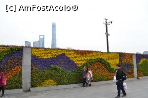 [P09] The Bund-peretele de flori » foto by AZE
 - 
<span class="allrVoted glyphicon glyphicon-heart hidden" id="av862812"></span>
<a class="m-l-10 hidden" id="sv862812" onclick="voting_Foto_DelVot(,862812,11037)" role="button">șterge vot <span class="glyphicon glyphicon-remove"></span></a>
<a id="v9862812" class=" c-red"  onclick="voting_Foto_SetVot(862812)" role="button"><span class="glyphicon glyphicon-heart-empty"></span> <b>LIKE</b> = Votează poza</a> <img class="hidden"  id="f862812W9" src="/imagini/loader.gif" border="0" /><span class="AjErrMes hidden" id="e862812ErM"></span>