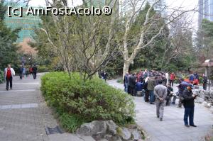 [P14] Jucatori de sah si table in parc » foto by AZE
 - 
<span class="allrVoted glyphicon glyphicon-heart hidden" id="av866626"></span>
<a class="m-l-10 hidden" id="sv866626" onclick="voting_Foto_DelVot(,866626,11037)" role="button">șterge vot <span class="glyphicon glyphicon-remove"></span></a>
<a id="v9866626" class=" c-red"  onclick="voting_Foto_SetVot(866626)" role="button"><span class="glyphicon glyphicon-heart-empty"></span> <b>LIKE</b> = Votează poza</a> <img class="hidden"  id="f866626W9" src="/imagini/loader.gif" border="0" /><span class="AjErrMes hidden" id="e866626ErM"></span>