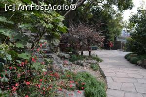 [P20] Parc in inima Shanghaiului » foto by AZE
 - 
<span class="allrVoted glyphicon glyphicon-heart hidden" id="av866632"></span>
<a class="m-l-10 hidden" id="sv866632" onclick="voting_Foto_DelVot(,866632,11037)" role="button">șterge vot <span class="glyphicon glyphicon-remove"></span></a>
<a id="v9866632" class=" c-red"  onclick="voting_Foto_SetVot(866632)" role="button"><span class="glyphicon glyphicon-heart-empty"></span> <b>LIKE</b> = Votează poza</a> <img class="hidden"  id="f866632W9" src="/imagini/loader.gif" border="0" /><span class="AjErrMes hidden" id="e866632ErM"></span>