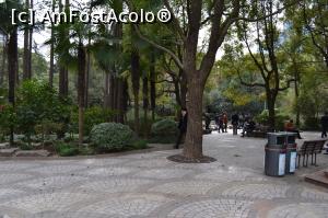 [P08] Asa arata pavajul in parc » foto by AZE
 - 
<span class="allrVoted glyphicon glyphicon-heart hidden" id="av866620"></span>
<a class="m-l-10 hidden" id="sv866620" onclick="voting_Foto_DelVot(,866620,11037)" role="button">șterge vot <span class="glyphicon glyphicon-remove"></span></a>
<a id="v9866620" class=" c-red"  onclick="voting_Foto_SetVot(866620)" role="button"><span class="glyphicon glyphicon-heart-empty"></span> <b>LIKE</b> = Votează poza</a> <img class="hidden"  id="f866620W9" src="/imagini/loader.gif" border="0" /><span class="AjErrMes hidden" id="e866620ErM"></span>