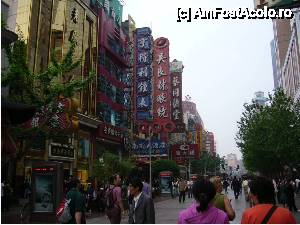 [P21] Strada din Shanghai » foto by cdiana
 - 
<span class="allrVoted glyphicon glyphicon-heart hidden" id="av477792"></span>
<a class="m-l-10 hidden" id="sv477792" onclick="voting_Foto_DelVot(,477792,11037)" role="button">șterge vot <span class="glyphicon glyphicon-remove"></span></a>
<a id="v9477792" class=" c-red"  onclick="voting_Foto_SetVot(477792)" role="button"><span class="glyphicon glyphicon-heart-empty"></span> <b>LIKE</b> = Votează poza</a> <img class="hidden"  id="f477792W9" src="/imagini/loader.gif" border="0" /><span class="AjErrMes hidden" id="e477792ErM"></span>