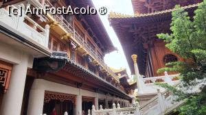 [P38]  -- <small>// FĂRĂ DESCRIERE</small> » foto by geani anto
 - 
<span class="allrVoted glyphicon glyphicon-heart hidden" id="av1507590"></span>
<a class="m-l-10 hidden" id="sv1507590" onclick="voting_Foto_DelVot(,1507590,11037)" role="button">șterge vot <span class="glyphicon glyphicon-remove"></span></a>
<a id="v91507590" class=" c-red"  onclick="voting_Foto_SetVot(1507590)" role="button"><span class="glyphicon glyphicon-heart-empty"></span> <b>LIKE</b> = Votează poza</a> <img class="hidden"  id="f1507590W9" src="/imagini/loader.gif" border="0" /><span class="AjErrMes hidden" id="e1507590ErM"></span>