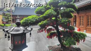 [P08]  -- <small>// FĂRĂ DESCRIERE</small> » foto by geani anto
 - 
<span class="allrVoted glyphicon glyphicon-heart hidden" id="av1507560"></span>
<a class="m-l-10 hidden" id="sv1507560" onclick="voting_Foto_DelVot(,1507560,11037)" role="button">șterge vot <span class="glyphicon glyphicon-remove"></span></a>
<a id="v91507560" class=" c-red"  onclick="voting_Foto_SetVot(1507560)" role="button"><span class="glyphicon glyphicon-heart-empty"></span> <b>LIKE</b> = Votează poza</a> <img class="hidden"  id="f1507560W9" src="/imagini/loader.gif" border="0" /><span class="AjErrMes hidden" id="e1507560ErM"></span>