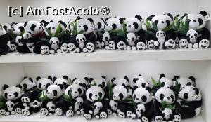 [P01]  -- <small>// FĂRĂ DESCRIERE</small> » foto by geani anto
 - 
<span class="allrVoted glyphicon glyphicon-heart hidden" id="av1509514"></span>
<a class="m-l-10 hidden" id="sv1509514" onclick="voting_Foto_DelVot(,1509514,11037)" role="button">șterge vot <span class="glyphicon glyphicon-remove"></span></a>
<a id="v91509514" class=" c-red"  onclick="voting_Foto_SetVot(1509514)" role="button"><span class="glyphicon glyphicon-heart-empty"></span> <b>LIKE</b> = Votează poza</a> <img class="hidden"  id="f1509514W9" src="/imagini/loader.gif" border="0" /><span class="AjErrMes hidden" id="e1509514ErM"></span>