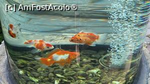 [P13]  -- <small>// FĂRĂ DESCRIERE</small> » foto by geani anto
 - 
<span class="allrVoted glyphicon glyphicon-heart hidden" id="av1509526"></span>
<a class="m-l-10 hidden" id="sv1509526" onclick="voting_Foto_DelVot(,1509526,11037)" role="button">șterge vot <span class="glyphicon glyphicon-remove"></span></a>
<a id="v91509526" class=" c-red"  onclick="voting_Foto_SetVot(1509526)" role="button"><span class="glyphicon glyphicon-heart-empty"></span> <b>LIKE</b> = Votează poza</a> <img class="hidden"  id="f1509526W9" src="/imagini/loader.gif" border="0" /><span class="AjErrMes hidden" id="e1509526ErM"></span>