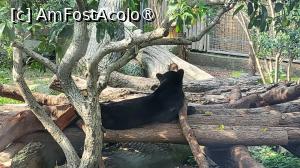 [P22]  -- <small>// FĂRĂ DESCRIERE</small> » foto by geani anto
 - 
<span class="allrVoted glyphicon glyphicon-heart hidden" id="av1509535"></span>
<a class="m-l-10 hidden" id="sv1509535" onclick="voting_Foto_DelVot(,1509535,11037)" role="button">șterge vot <span class="glyphicon glyphicon-remove"></span></a>
<a id="v91509535" class=" c-red"  onclick="voting_Foto_SetVot(1509535)" role="button"><span class="glyphicon glyphicon-heart-empty"></span> <b>LIKE</b> = Votează poza</a> <img class="hidden"  id="f1509535W9" src="/imagini/loader.gif" border="0" /><span class="AjErrMes hidden" id="e1509535ErM"></span>